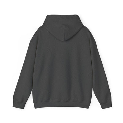 Hooded Sweatshirt 2024